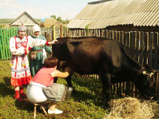 Интерактивные площадки